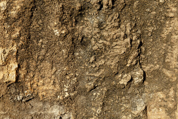Pared cemento