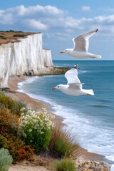 Fototapeta premium Two seagulls flying over white cliffs and sea