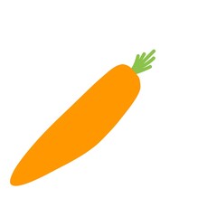 Cartoon carrot illustration. Hand-drawn carrot vegetable icon. Carrot fruit symbol and orange slice.