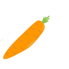 Cartoon carrot illustration. Hand-drawn carrot vegetable icon. Carrot fruit symbol and orange slice.