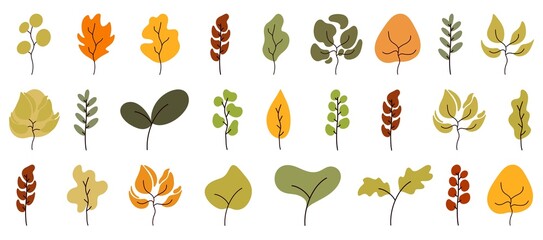 Pattern with different leaves and twigs