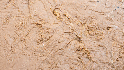 Northern thailand scenes landscape river brown water monsoon rain season green jungle