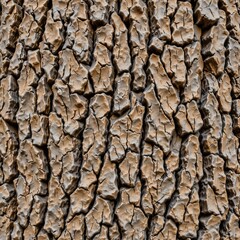 Organic Bark & Sand Seamless Repeat