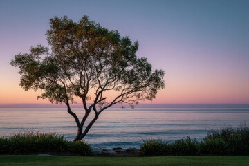 Obraz premium Tree silhouette against pastel sunset sky over tranquil ocean, with lush greenery