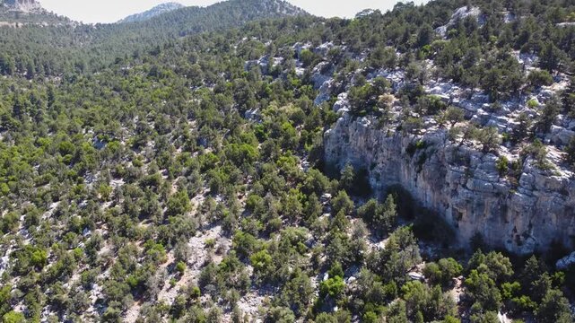 An aerial perspective reveals the vibrant green maquis shrubland covering rolling hills and dramatic karstic rock formations and cliffs, characteristic of the Mediterranean landscape near Fethiye, Tur