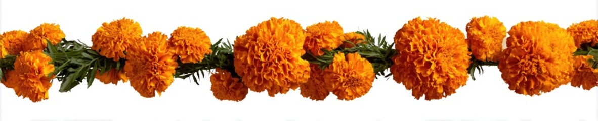 A garland of vibrant orange flowers and green foliage against a white background