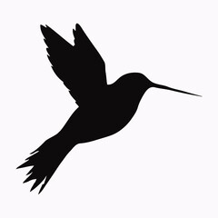 Obraz premium white vector bird art desigan black and white 14.eps