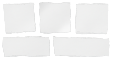 Torn sheets white paper isolated, transparent background document set mockup