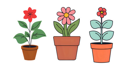 Pink water hyacinth flowers in flower pots