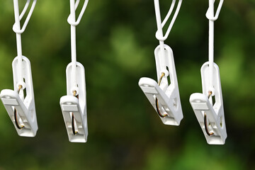 庭に並ぶ洗濯バサミ