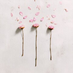 Overhead shot of three dried flowers with pink petals scattered on a textured, off-white surface