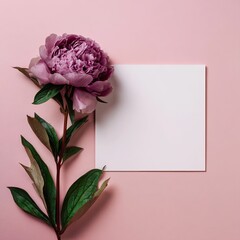 Pink peony with stem and leaves alongside blank white card on a soft pink background