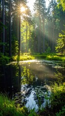 Sunlit Forest Pool Reflecting Trees with Golden Rays in Vertical Format