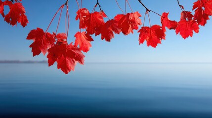 Vibrant Red Maple Leaves Against Tranquil Blue Water, Capturing Autumnal Beauty and Serene Atmosphere