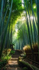 Sunlit Bamboo Forest Path with Stone Steps and Lush Greenery