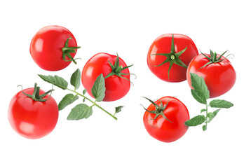 Fresh ripe tomatoes and green leaves flying in air against white background