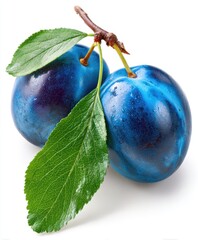 Obraz premium Close-up of two deep blue plums, stem & green leaves against white background
