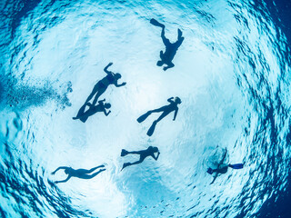 Group of Snorkelers Swimming in Circle Viewed from Below