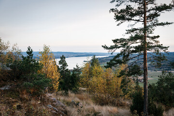 Elevated scenic view of a large lake framed by Autumnal trees in the Swedish countryside