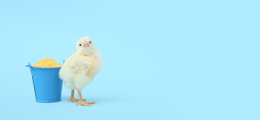 Bucket with millet and cute little chick on blue background