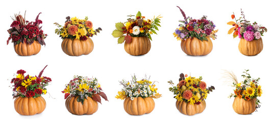 Set of beautiful autumn bouquets in pumpkins on white background