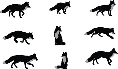 Set of black fox silhouette vector illustrations with multiple poses, wild animal icons, forest wildlife graphic design isolated collection
