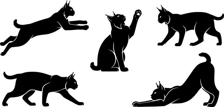 Wildcat silhouette collection: elegant poses of lynx and bobcat in minimalist style
