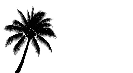 Dramatic silhouette of a solitary palm tree against a plain white backdrop