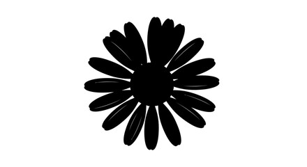Fototapeta premium Elegant botanical simplicity a black daisy silhouette against white void