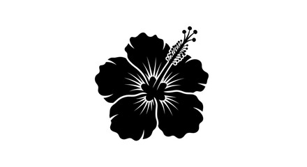 Fototapeta premium Hibiscus flower in black silhouette, tropical elegance design element