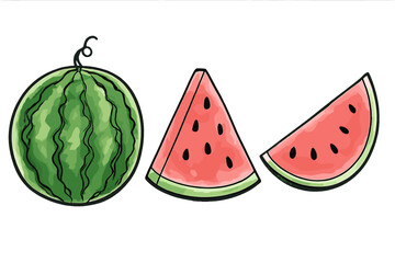 Watercolor watermelon vector set. Hand drawn artistic fruit illustration. Fresh summer food concept. Juicy ripe whole melon and slices with seeds in a doodle sketch style isolated.