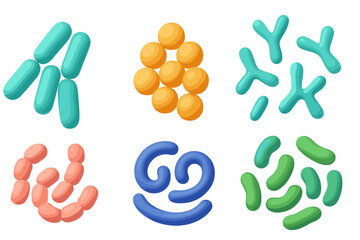 Probiotics bacteria 3D render vector set. Gut microbiota with healthy prebiotic bacillus. Lactobacillus, streptococcus, bifidobacteria, microorganisms for digestive health science.