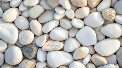 White pebbles or stones with varying sizes, natural patterns.