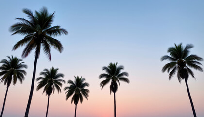 Palm trees silhouette against colorful sunset sky creates serene and tranquil atmosphere. vibrant hues of blue and pink enhance beauty of nature, inviting relaxation and peace