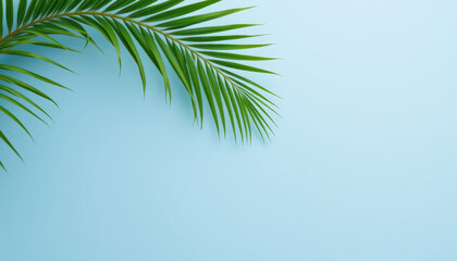 Vibrant green palm leaf rests against soft blue background, creating refreshing and tropical atmosphere. This evokes feelings of relaxation and nature beauty