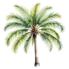 Naklejka premium Watercolor palm tree with lush green fronds and a tall, textured trunk