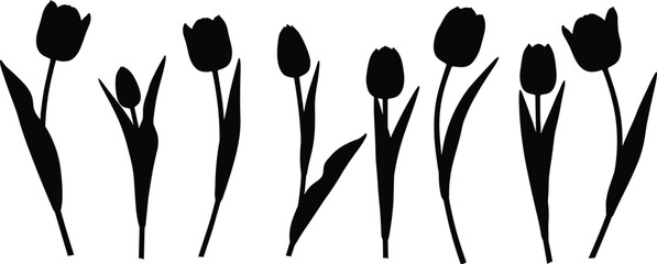 Tulip flower silhouettes collection, floral design elements, spring botanical illustration, nature decoration, elegant blooming plants, garden beauty artwork, blossom shapes