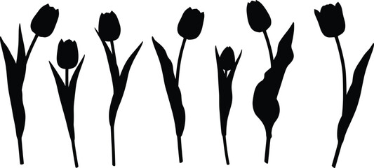 Tulip flower silhouettes set, spring floral elements, blooming plants illustration, nature inspired artwork, elegant botanical decoration, garden beauty, blossom design