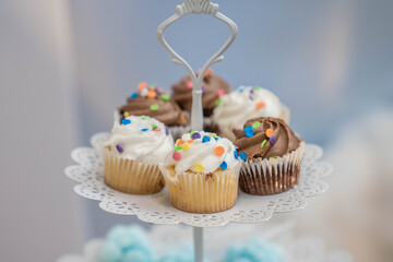 Delicious chocolate and vanilla cupcakes