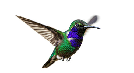 Green hummingbird in flight, isolated on a white background with its small beak near a red flower for nectar