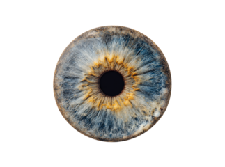 A detailed close up of a human iris blue gold eye macro photography, Isolated On Transparent Background, Png
