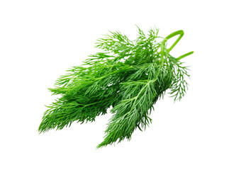 Fototapeta premium Fresh dill sprigs isolated on black background culinary herb, Isolated On Transparent Background, Png