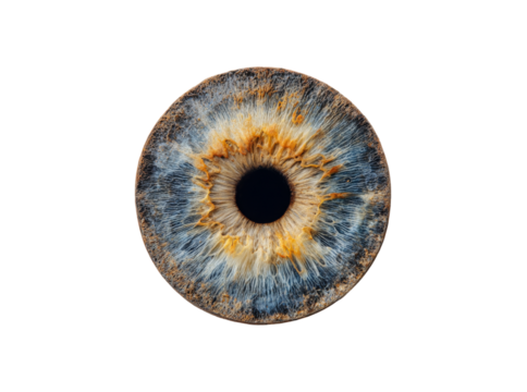 A detailed close up of a human iris blue gold eye, Isolated On Transparent Background, Png