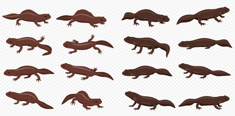 Vector illustration set of brown amphibians like newts or salamanders in different poses on a transparent background.