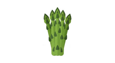 Fresh Green Asparagus Spears Illustration On Black