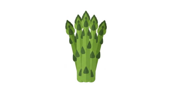 Fresh Green Asparagus Spears Illustration On Black