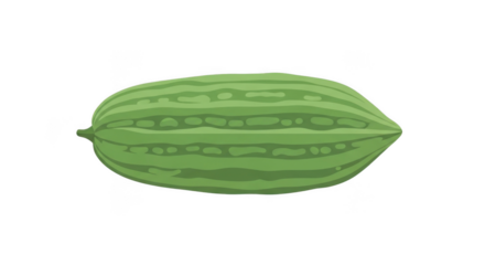 Green Striped Watermelon Illustration Isolated On Black