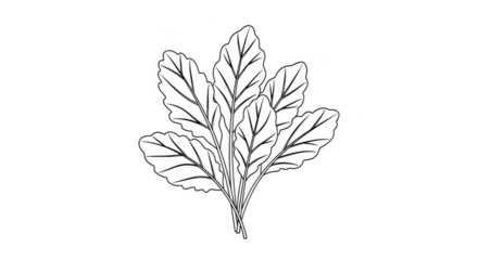 Minimalist White Outline Leafy Greens Illustration