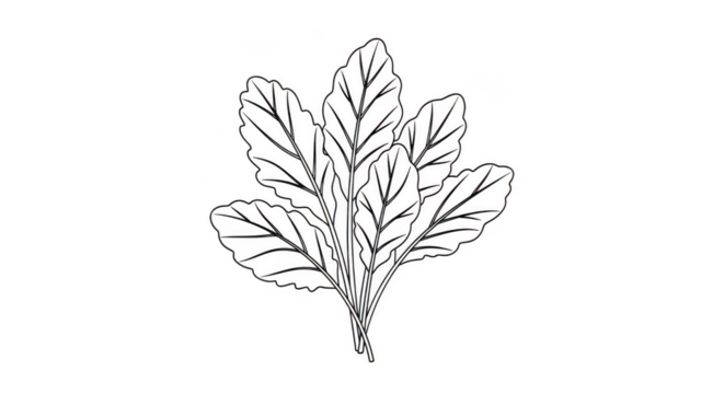 Minimalist White Outline Leafy Greens Illustration
