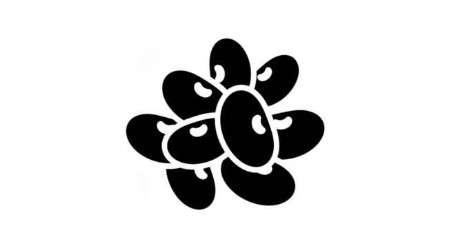 Abstract Organic Cell Outline On Black Background